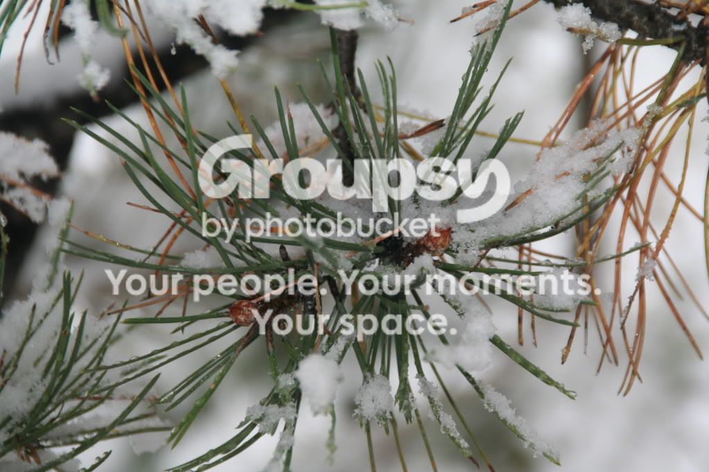 ImportedPhotos00020.jpg