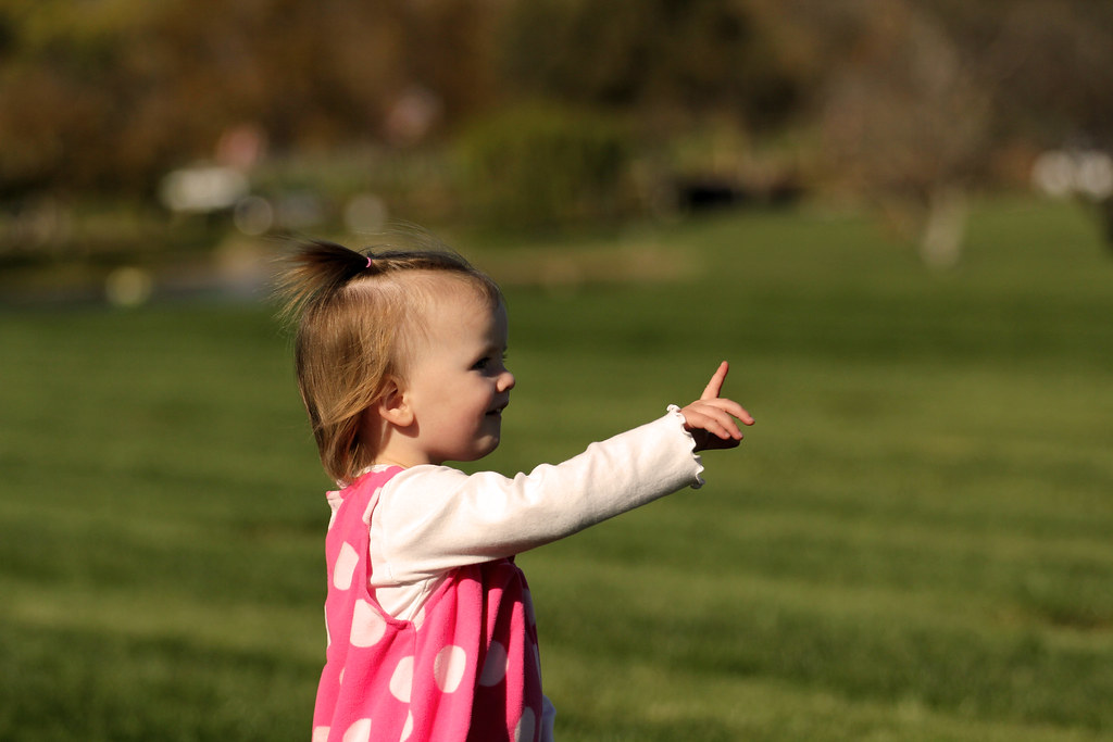 5168799792_3c902a8ef1_b.jpg