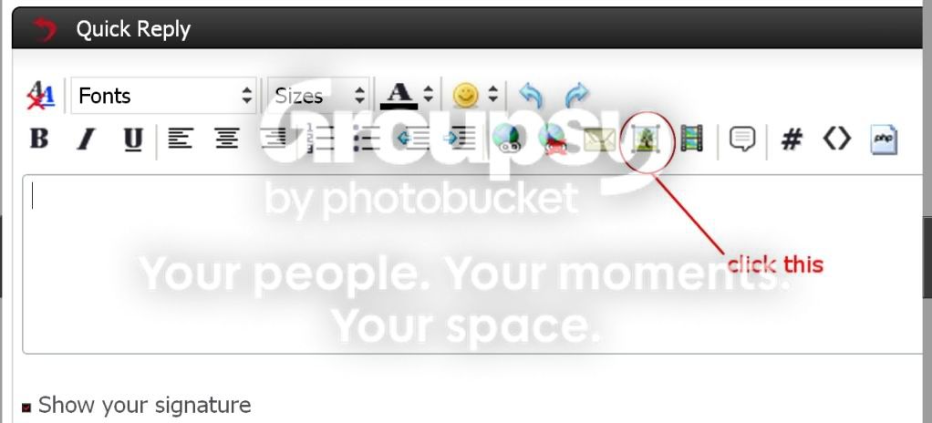 imageimbedtpf.jpg