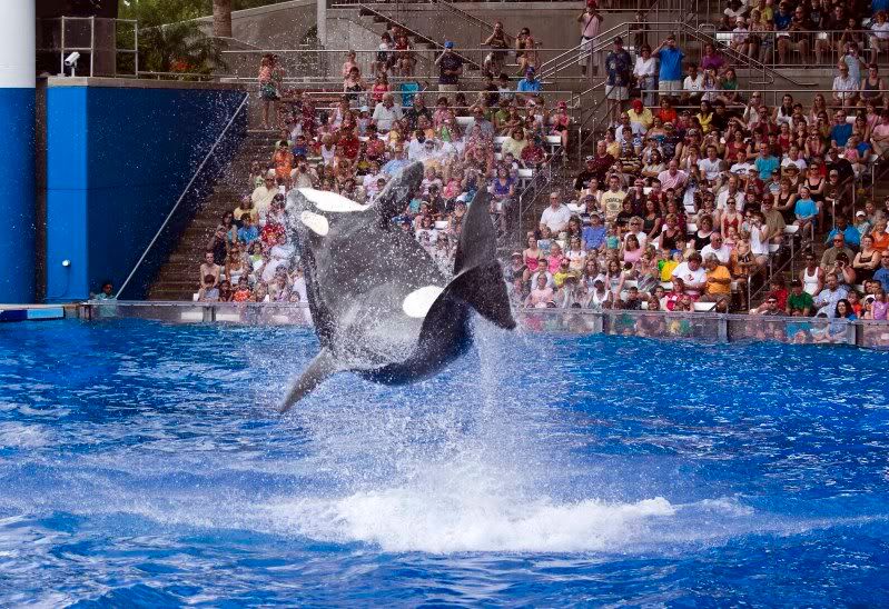 seaworld11small.jpg