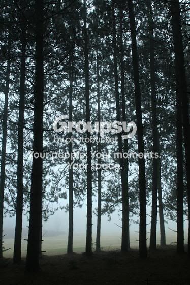 Fog4.jpg