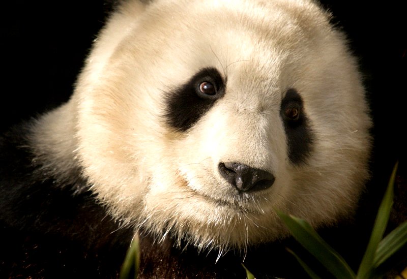 San%20Diego%20Zoo22-X3.jpg