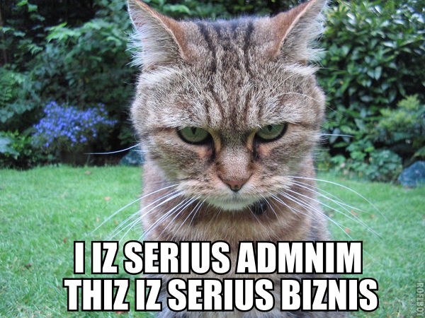 lolcat.jpg