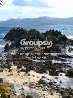 IMG_4450.jpg