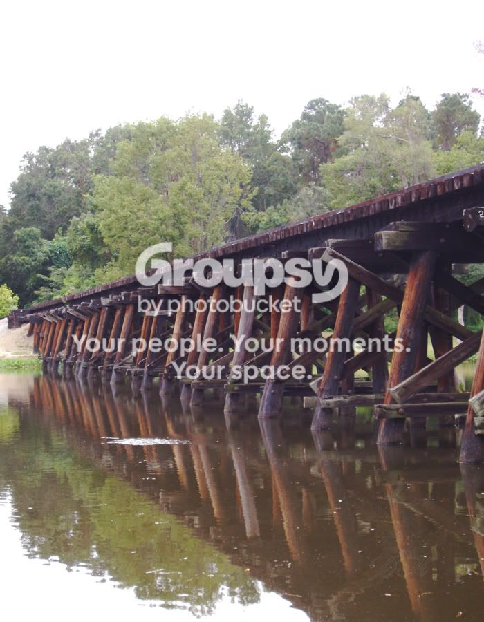 bridge.jpg