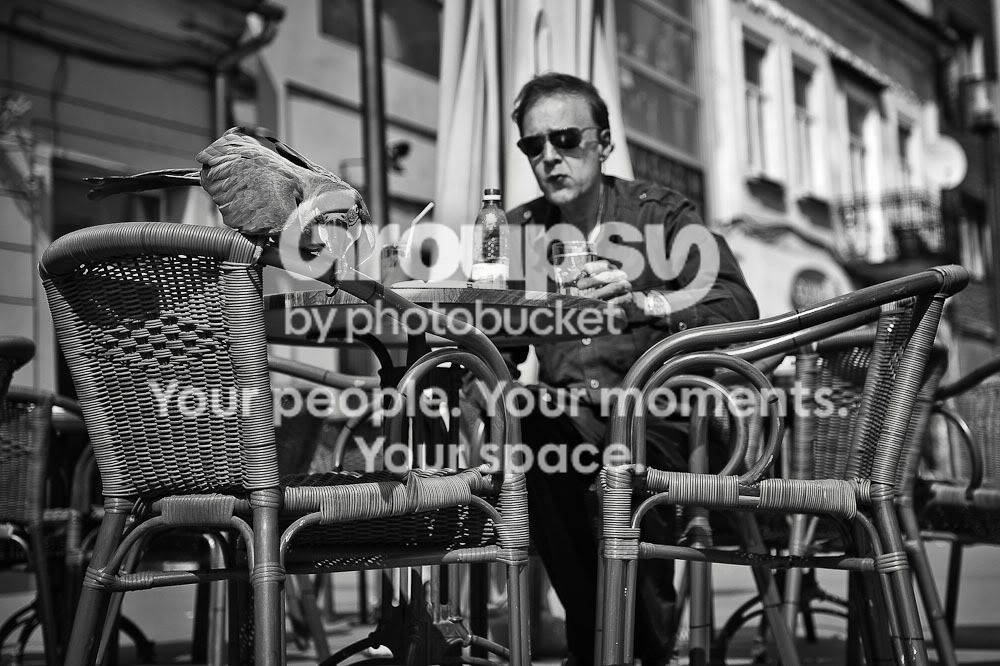 AColorlessLife33.jpg