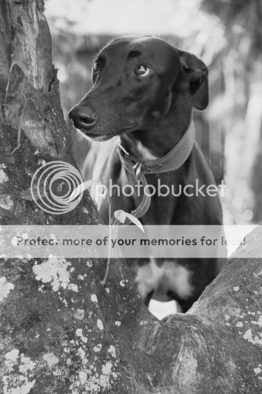 IMG_8059-Copy.jpg