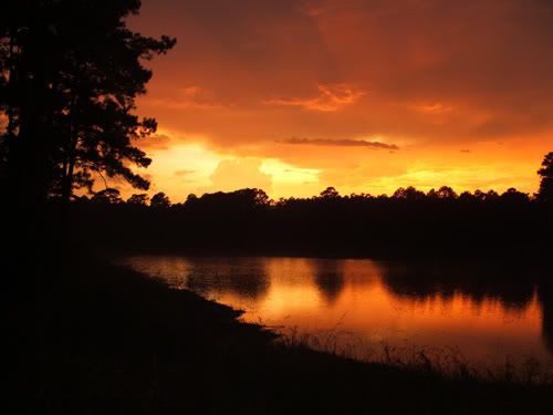2006-08-17-023.jpg