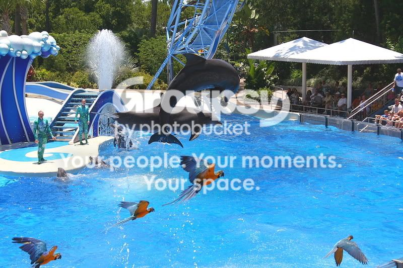 seaworldhols001.jpg