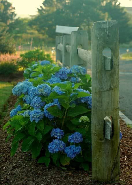 DSC_1307.jpg