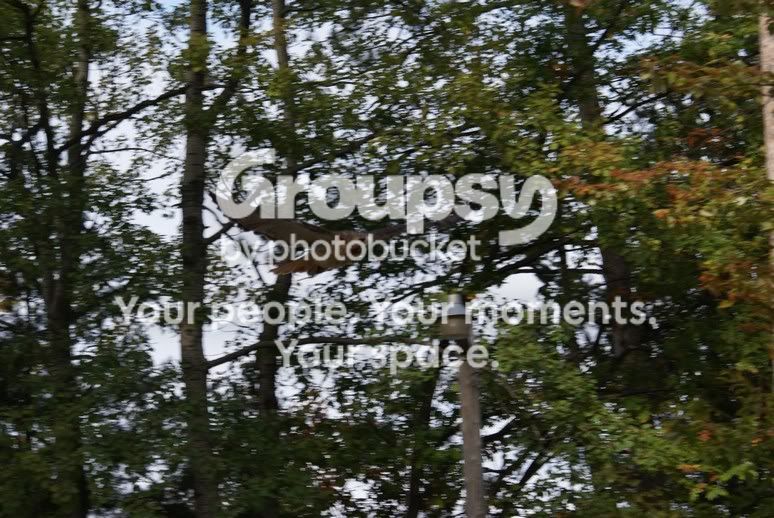 oct50007.jpg