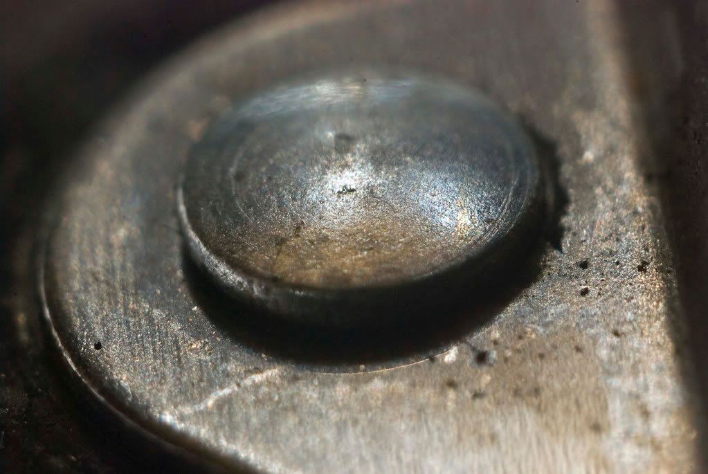 macro-072508a_9.jpg