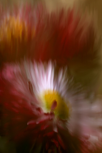 8627695387_0f863e839f_z.jpg