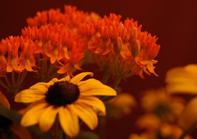 flowersontable0001.jpg
