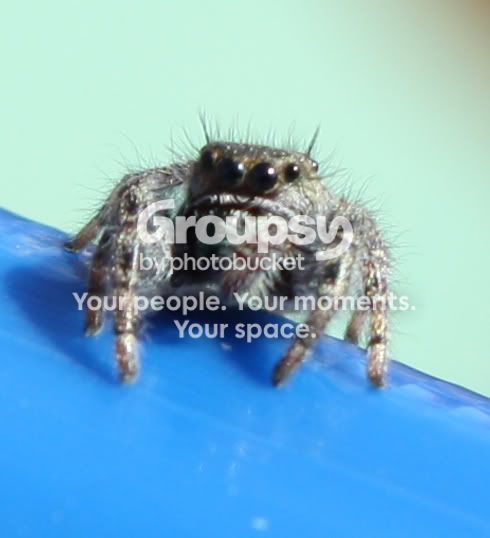 073cropped.jpg