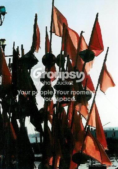 Themes_Red1.jpg