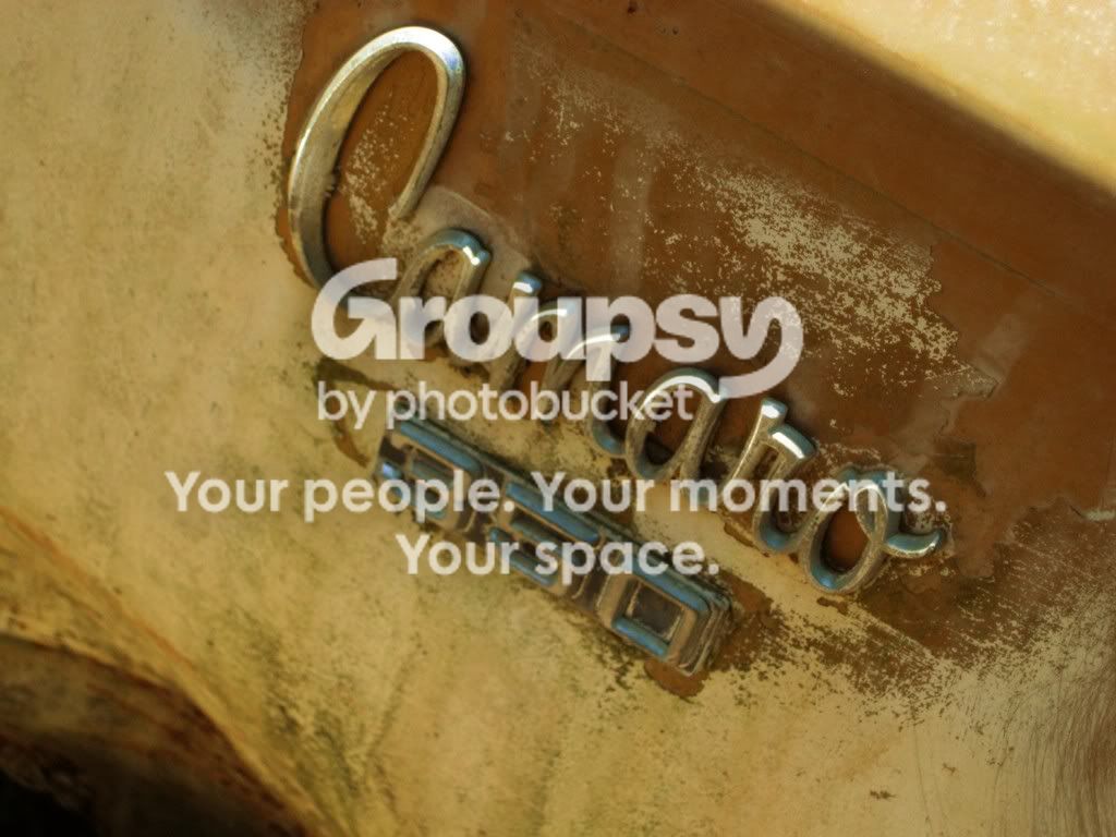IMG_1771JPGfix.jpg