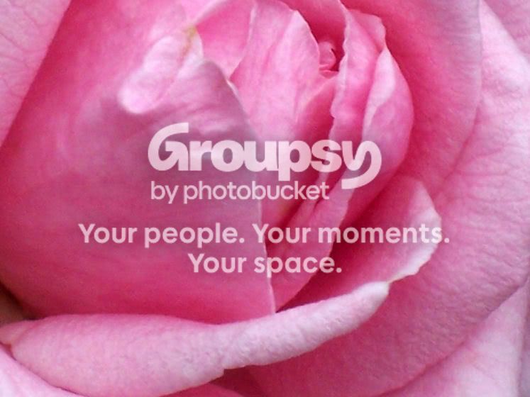 flower5.jpg