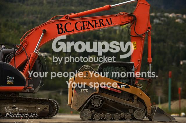 BobCatEdit.jpg