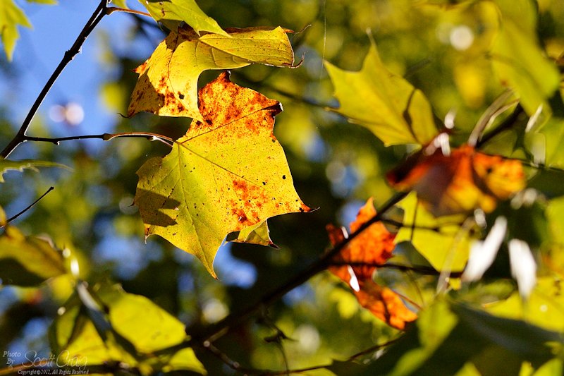 2012-09-23-05.jpg