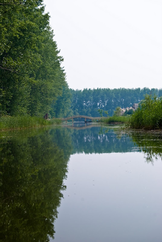 DSC_0135.jpg