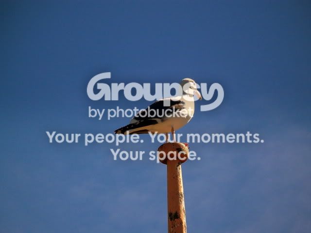 100_8068.jpg