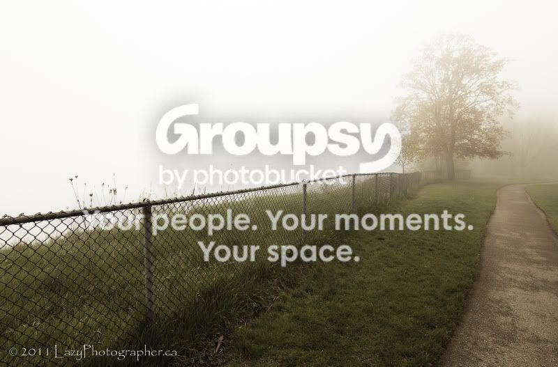 FoggyMay-71-EDITED.jpg