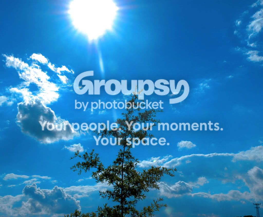 sunnytreecopy.jpg