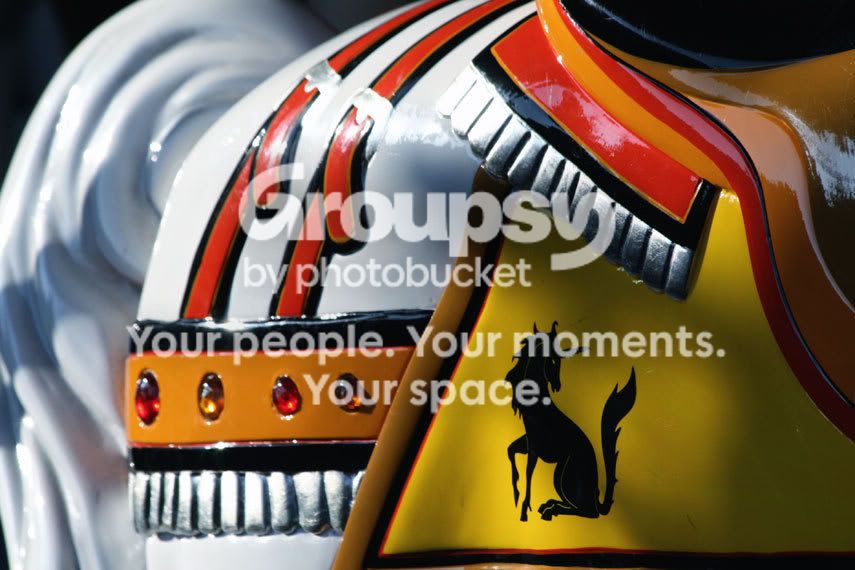 horse.jpg