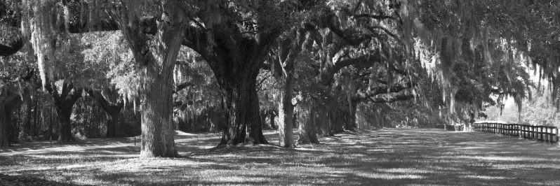 _MG_7919cropped.jpg