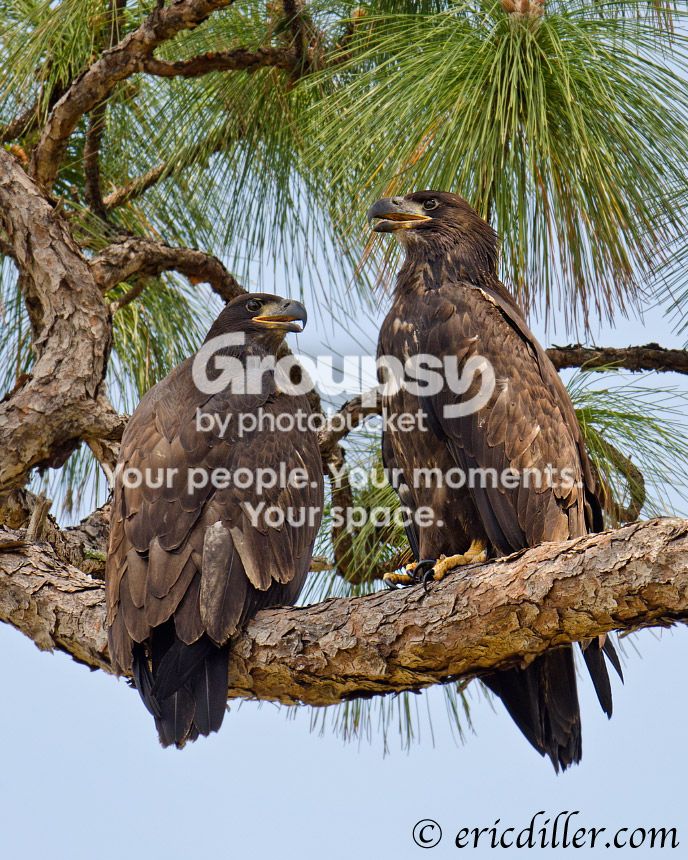 _ECD1826-copy860.jpg