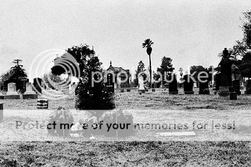MESUPERM40F28FUJISUPERIA400EVCEM12.jpg
