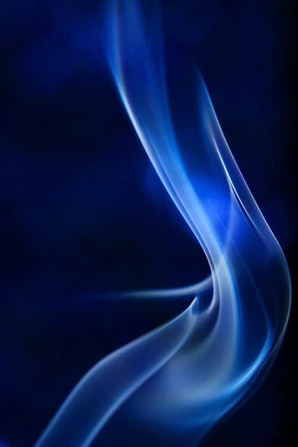 4543574713_94a95575f3_z.jpg