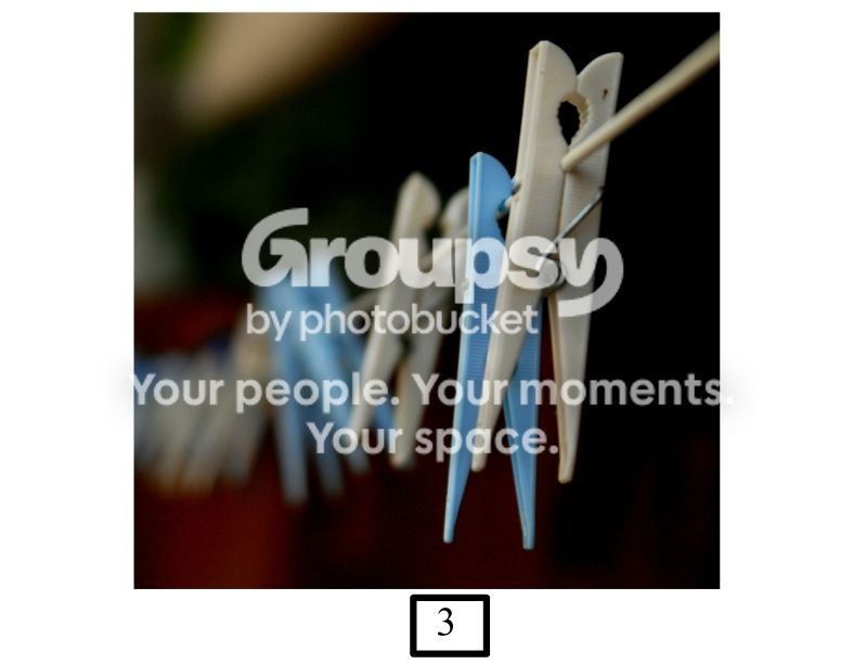 Clothesline3color.jpg