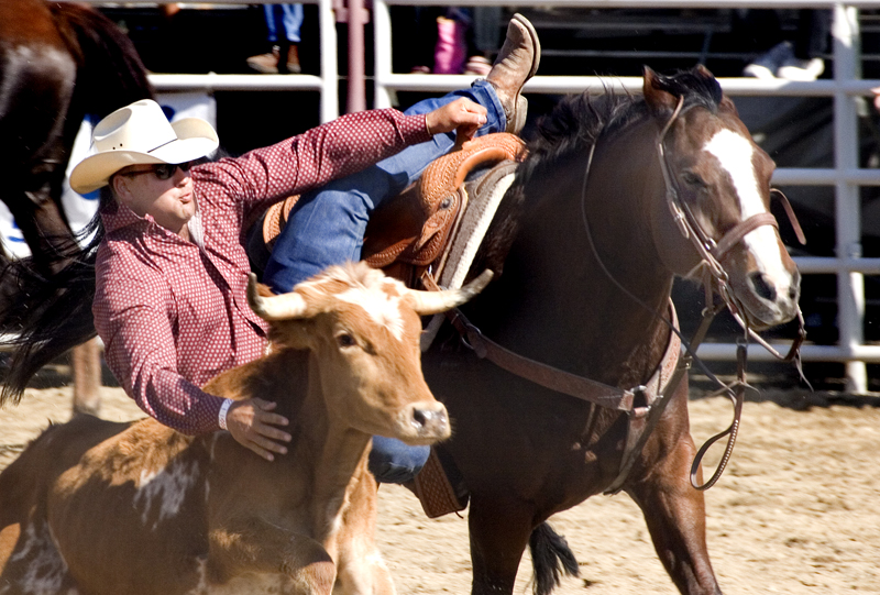 San%20Dimas%20Rodeo%2014-L.jpg