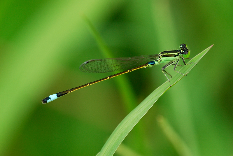 DSC_6159.jpg