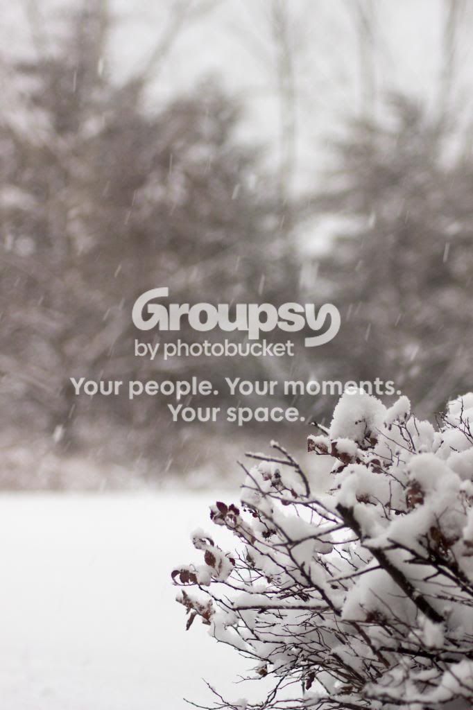 FirstSnow.jpg