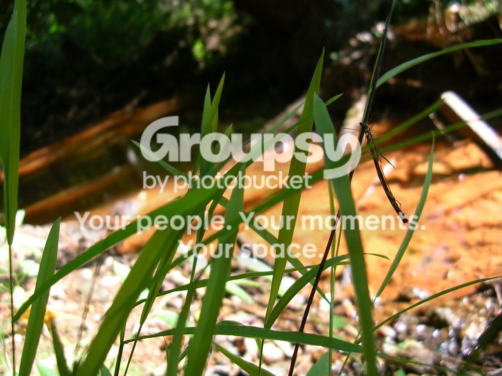 DSCN0495.jpg