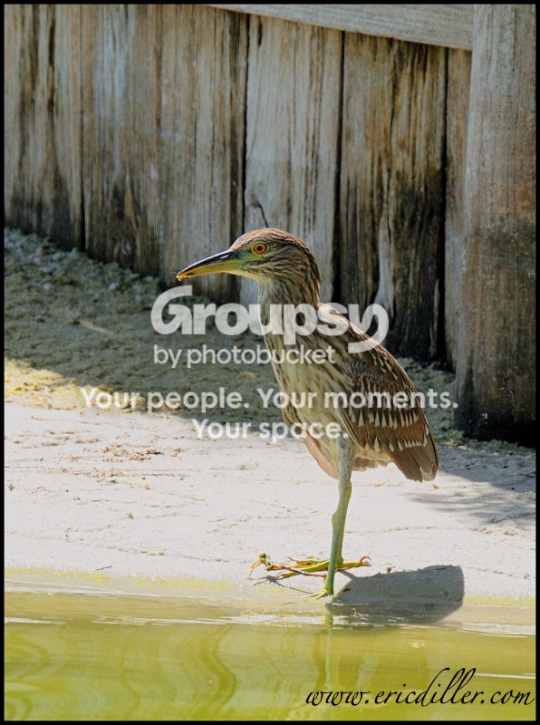 PIC_8449copy.jpg