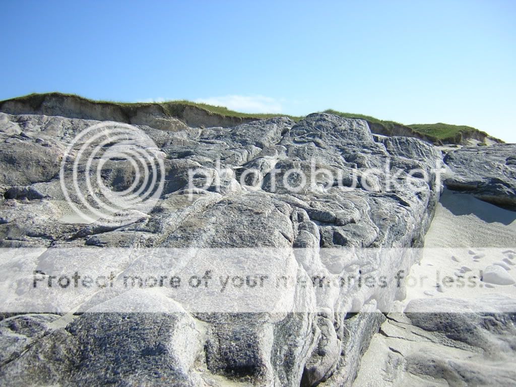 DSCN0507.jpg