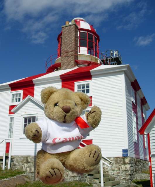 bonavista.jpg