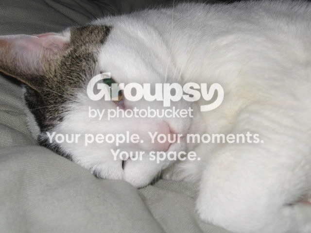 FriendsandFamily015.jpg