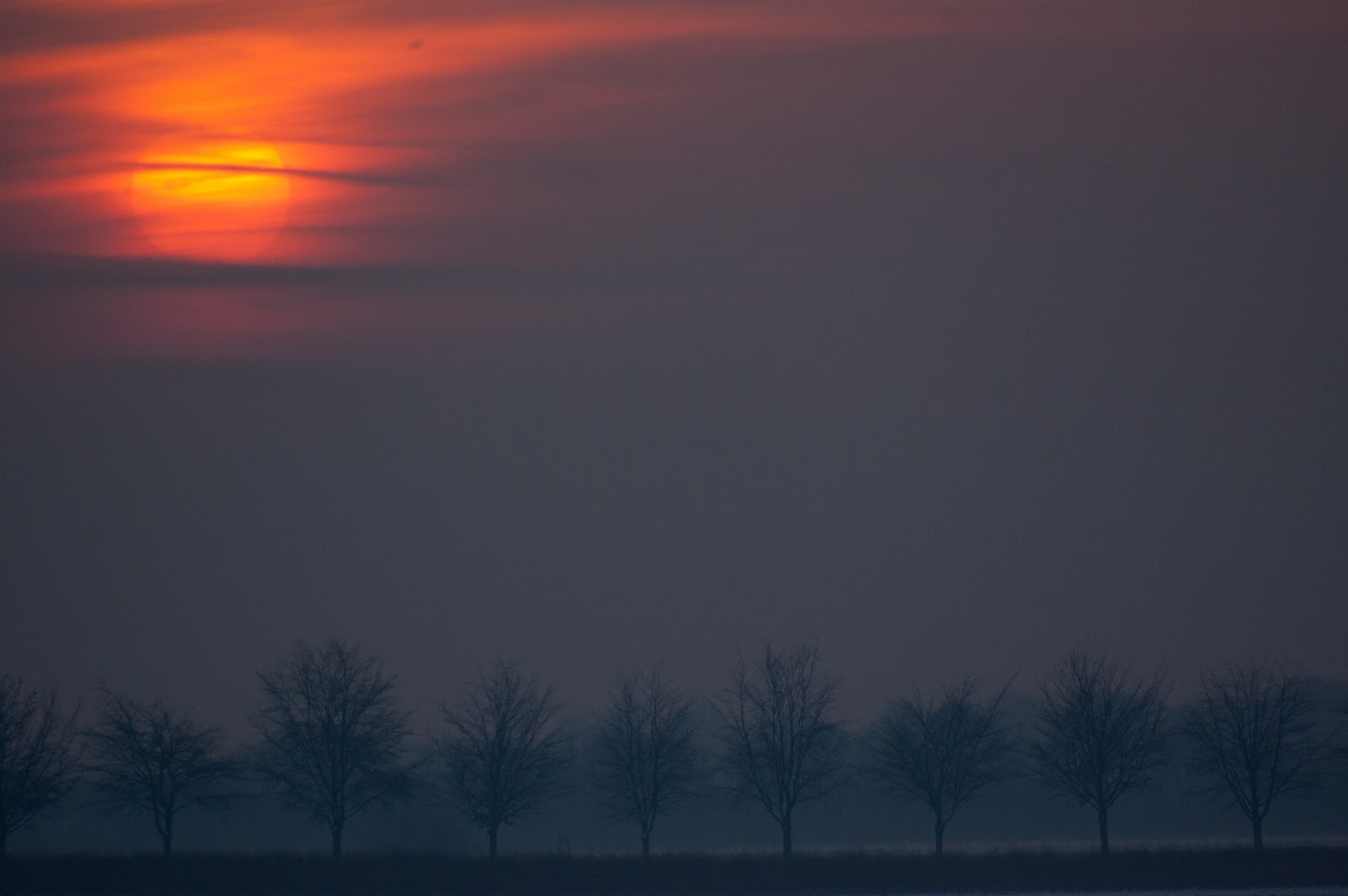 DSC_9210-1.jpg