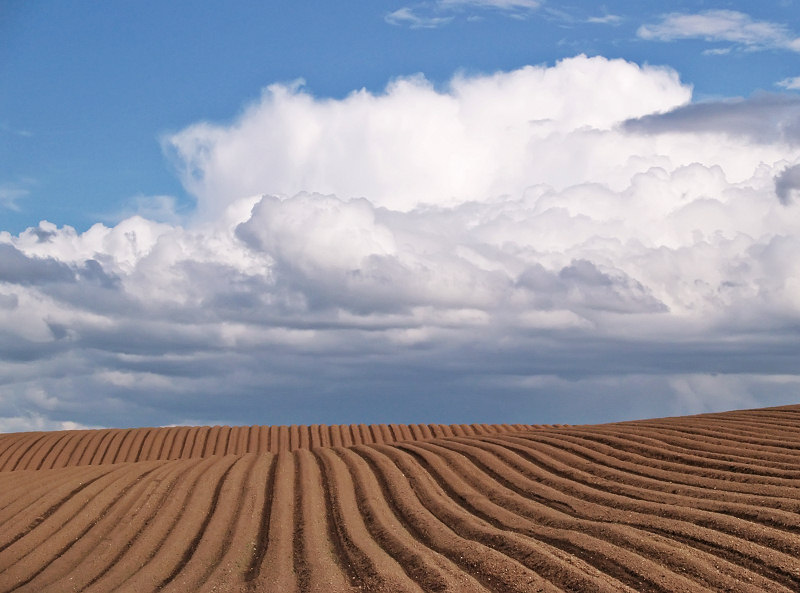Fylde%20field.jpg