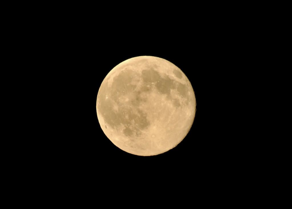 moonshot.jpg