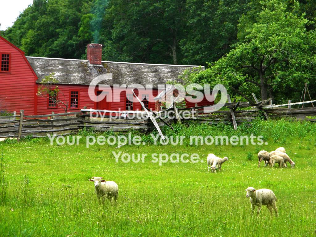 SheepbytheRedHouse.jpg