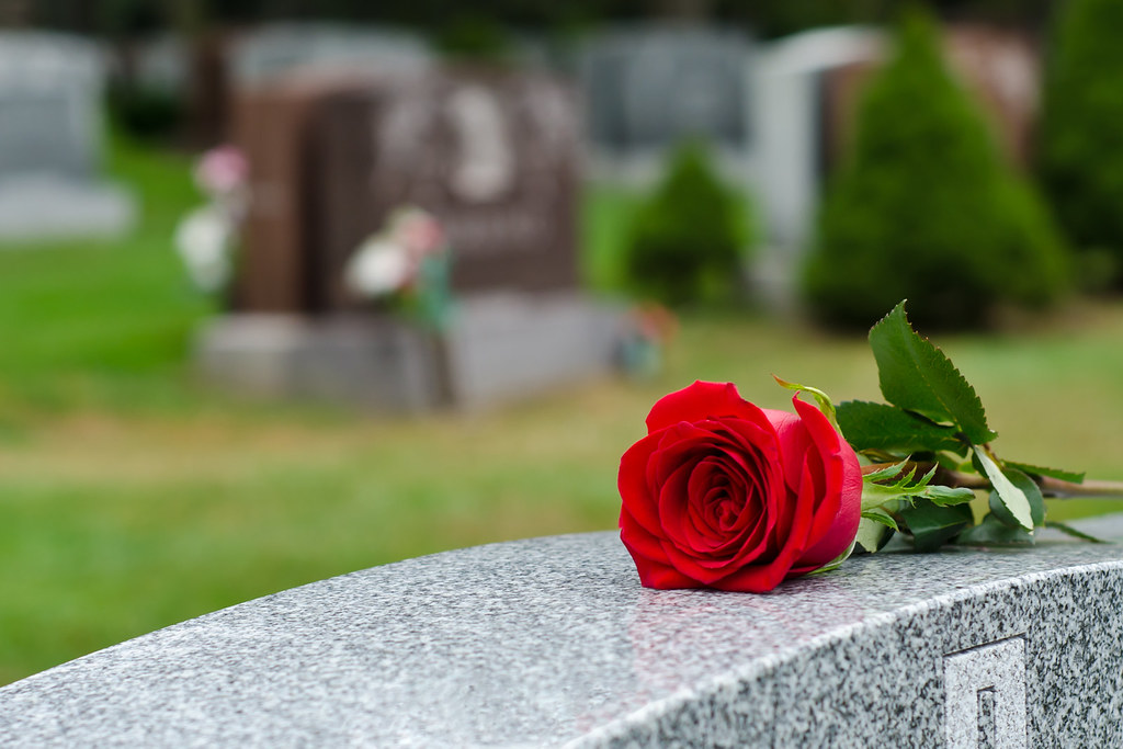 6196950464_91226d3d7e_b.jpg