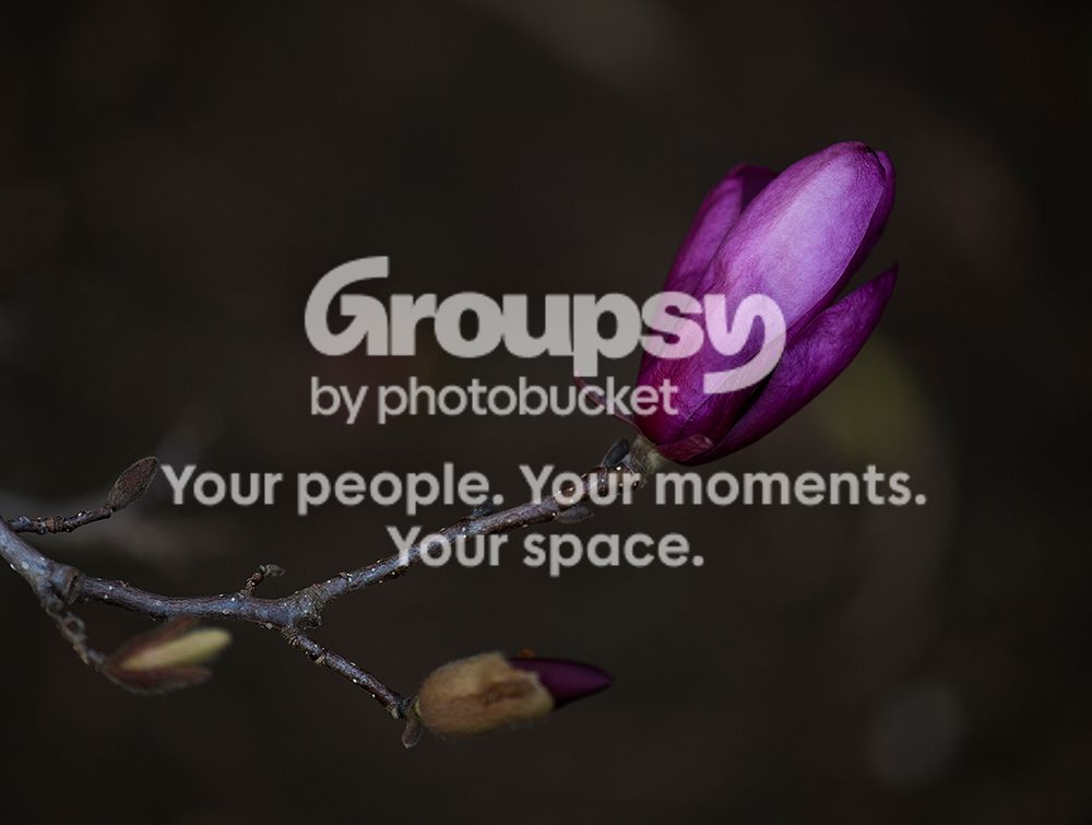 0ppmag1_zpsb280a97a.jpg