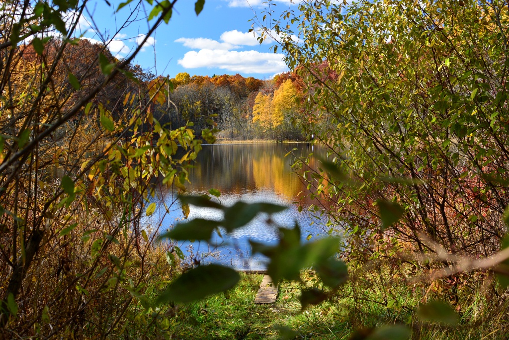 ott-park_14.jpg