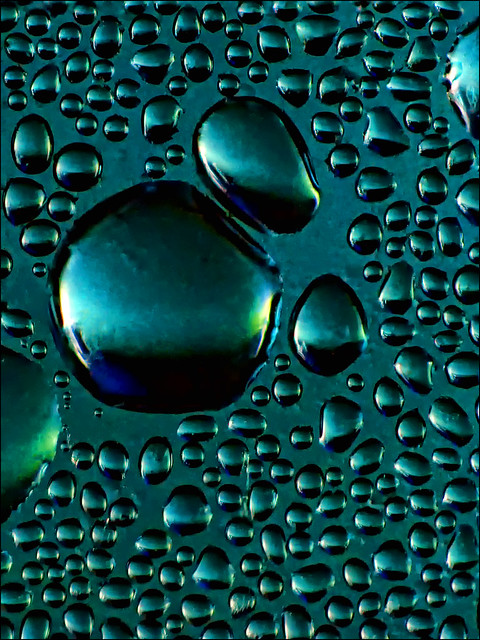 6250334249_870f2ba408_z.jpg